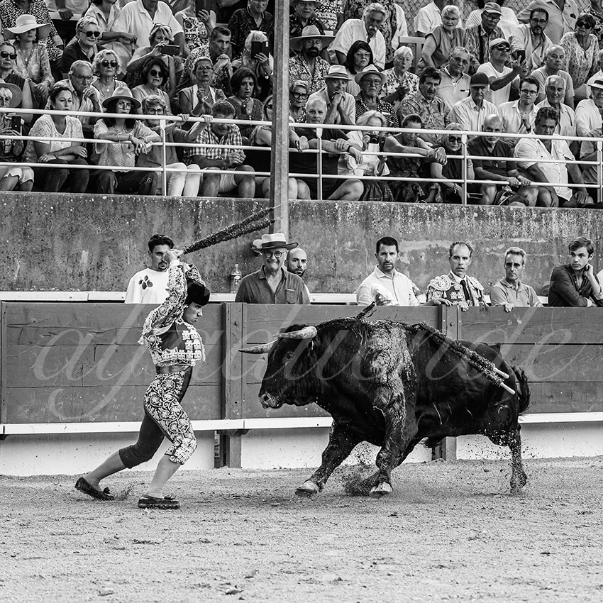 20250705 tarascon 013