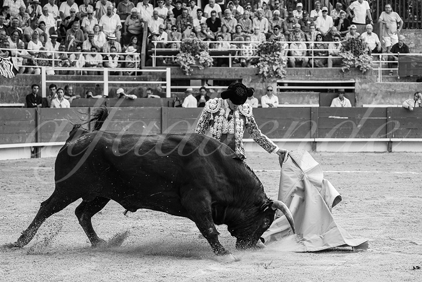 20250705 tarascon 012