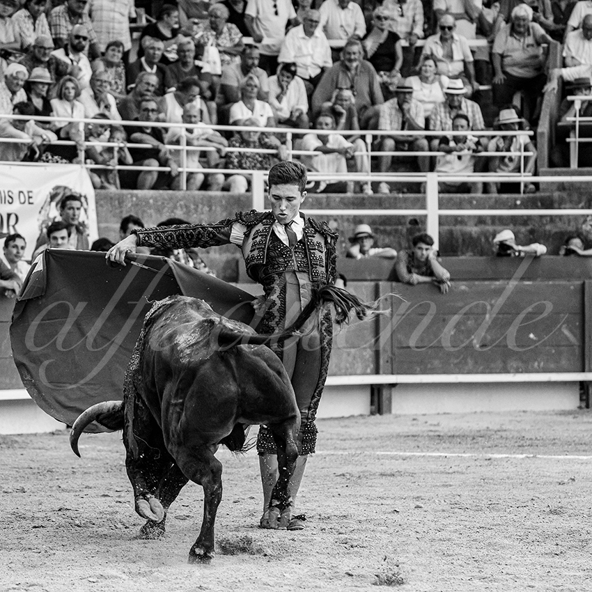 20250705 tarascon 037