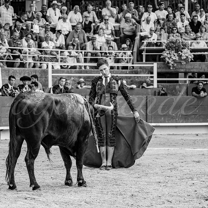 20250705 tarascon 036