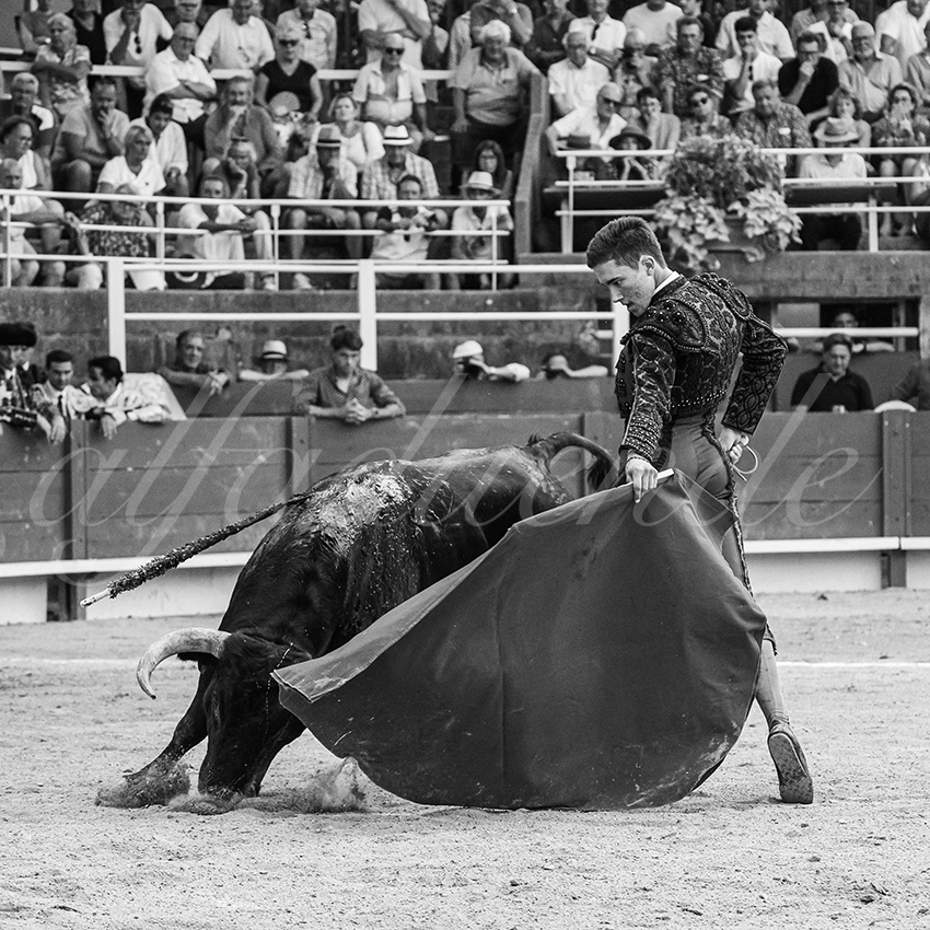 20250705 tarascon 035