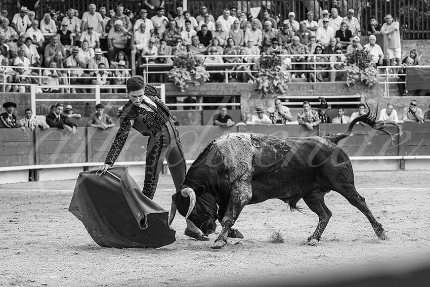 20250705 tarascon 034