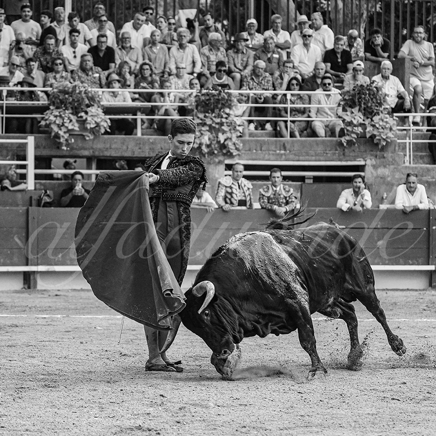 20250705 tarascon 033