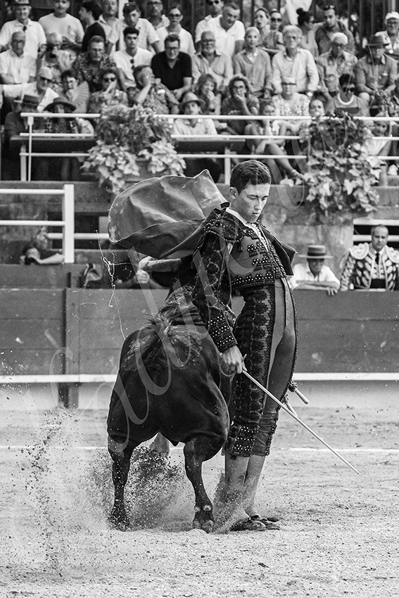 20250705 tarascon 032