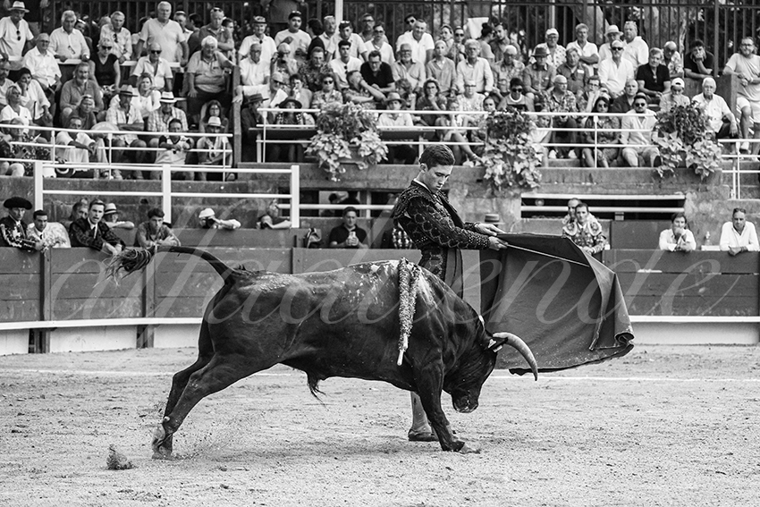 20250705 tarascon 031