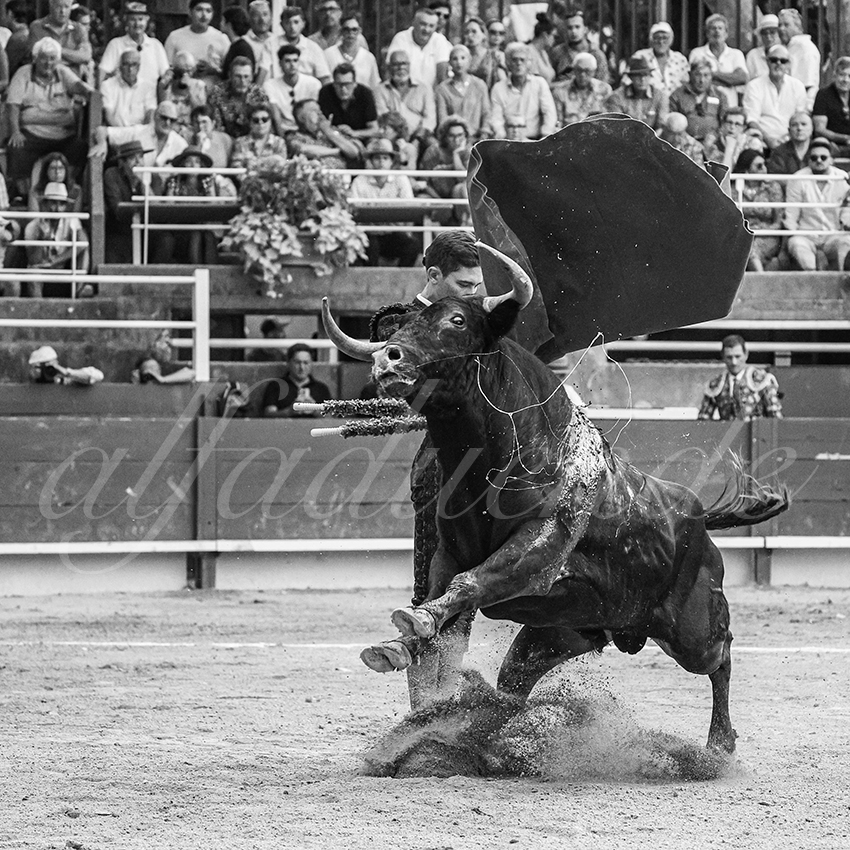 20250705 tarascon 030