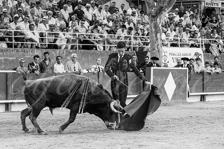 20250705 tarascon 028