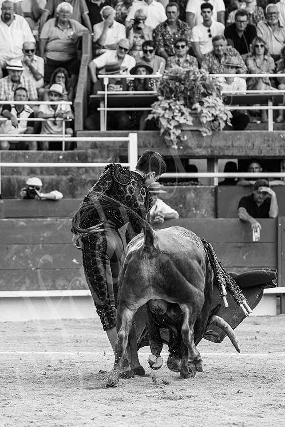 20250705 tarascon 027