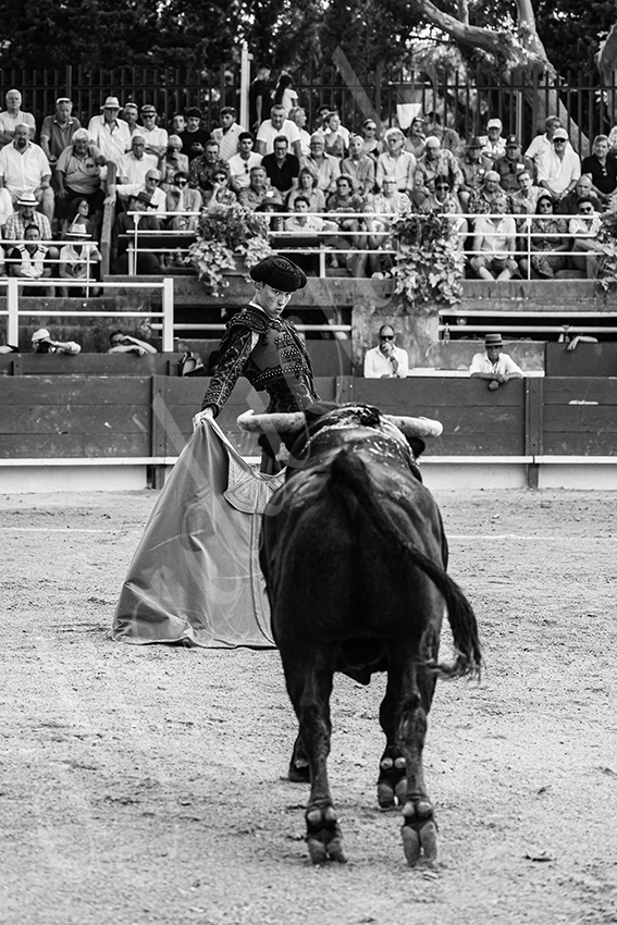 20250705 tarascon 026