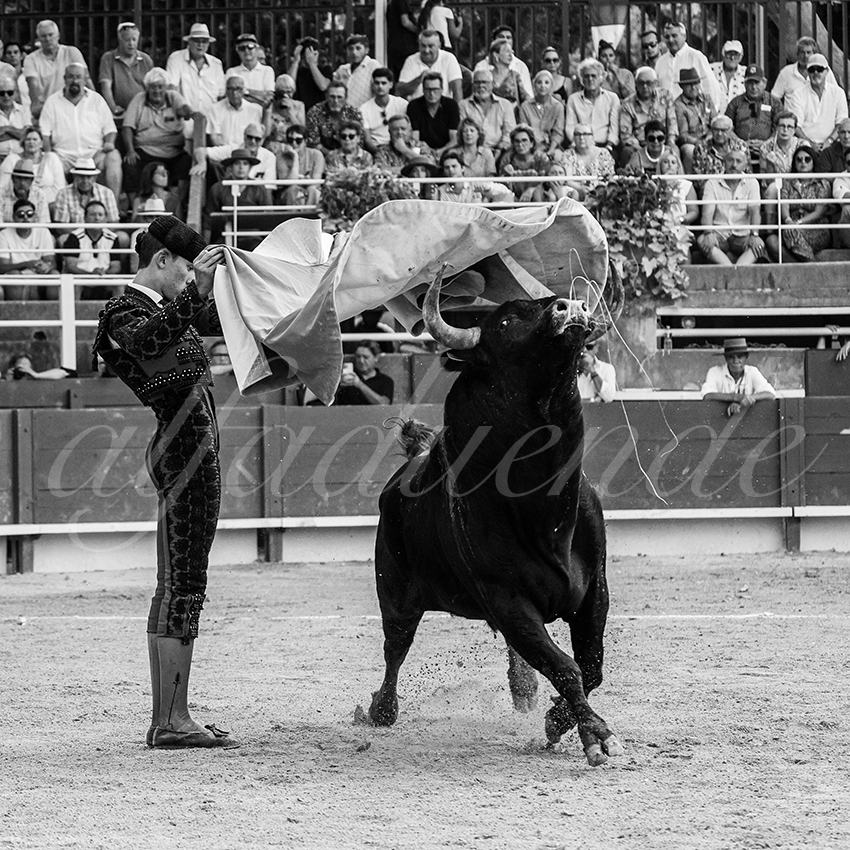 20250705 tarascon 025