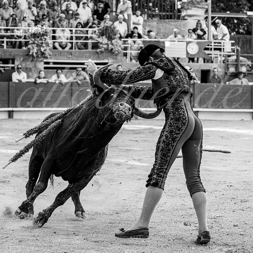 20250705 tarascon cuadrillas 006 copie