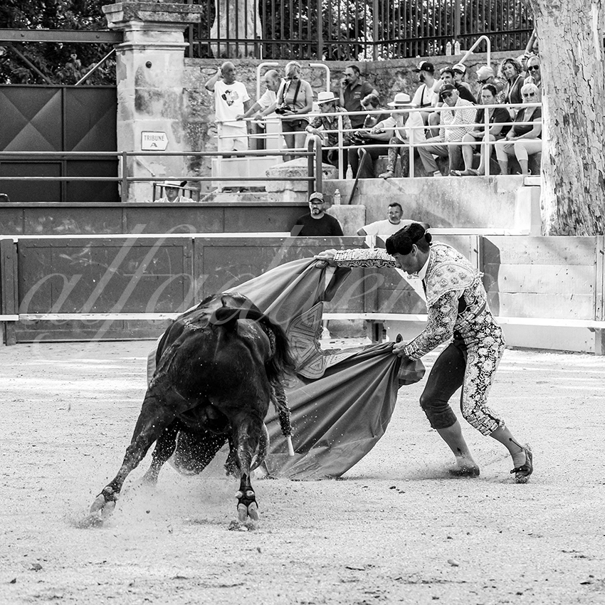 20250705 tarascon cuadrillas 005 copie