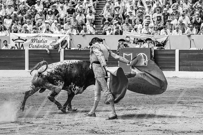 20250713 nov ceret 022