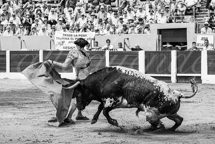 20250713 nov ceret 021