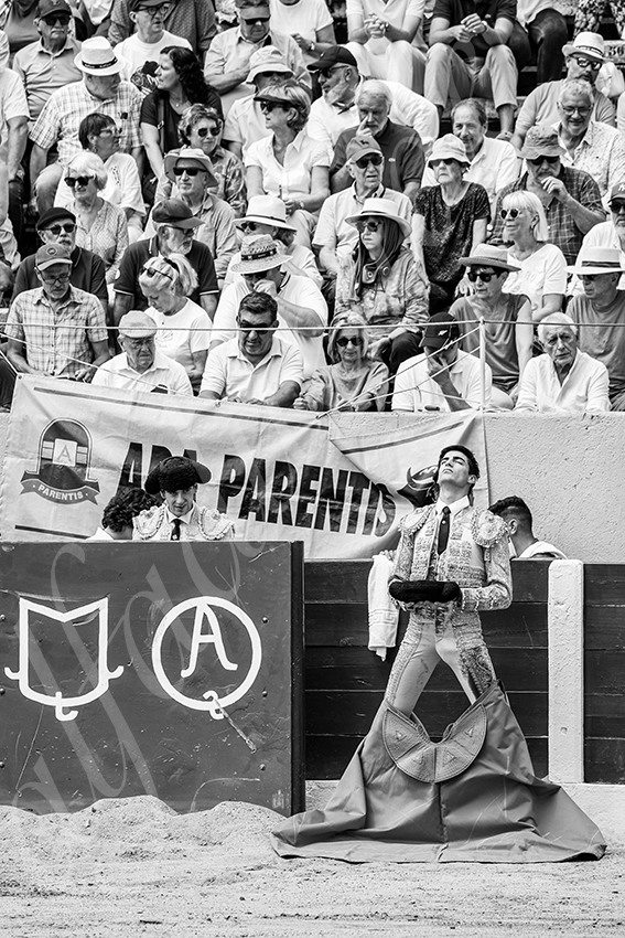 20250713 nov ceret 020