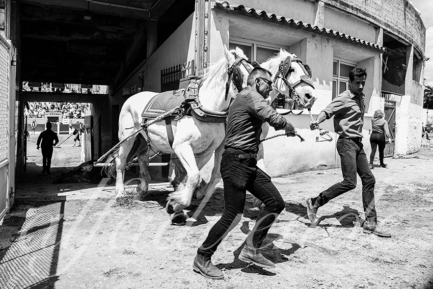 20250713 nov ceret 019