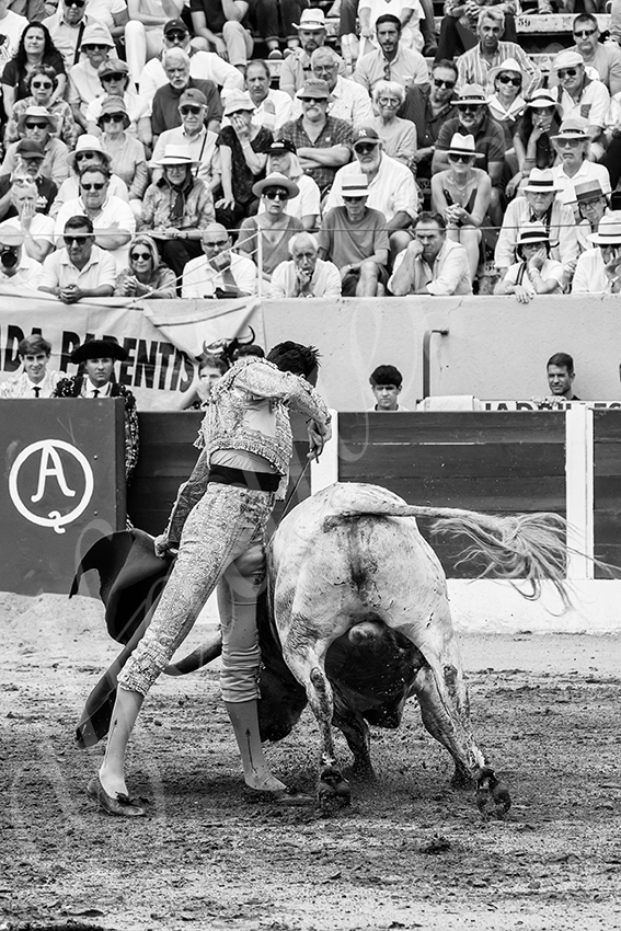 20250713 nov ceret 017