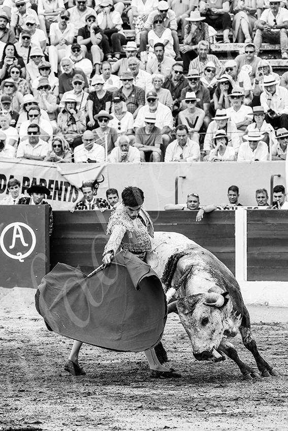 20250713 nov ceret 016