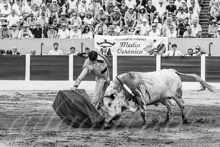 20250713 nov ceret 015