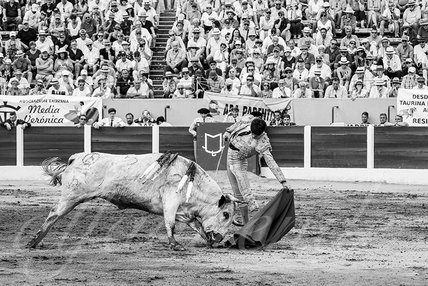 20250713 nov ceret 014