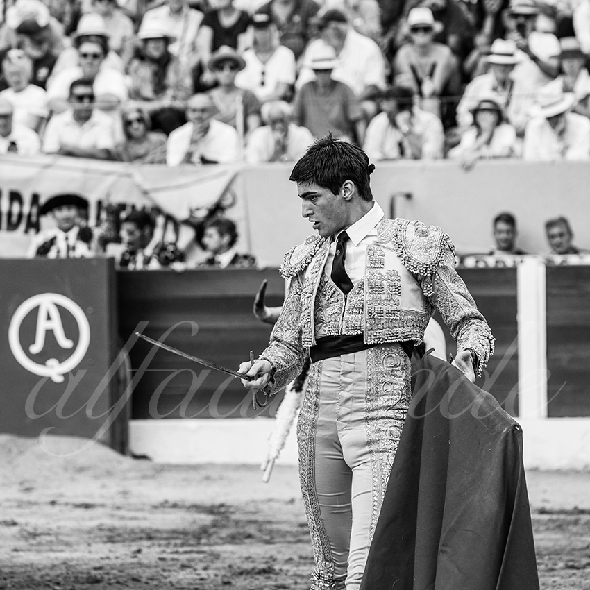 20250713 nov ceret 013