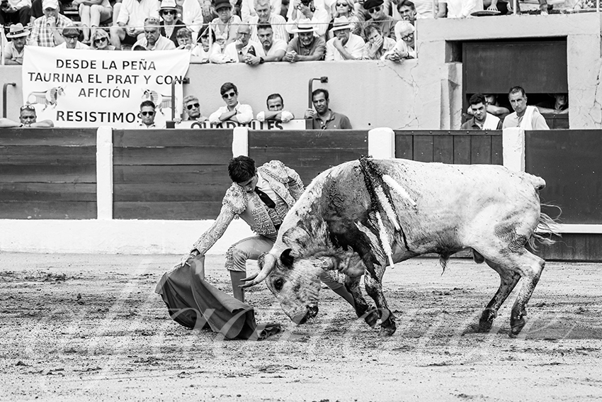 20250713 nov ceret 012