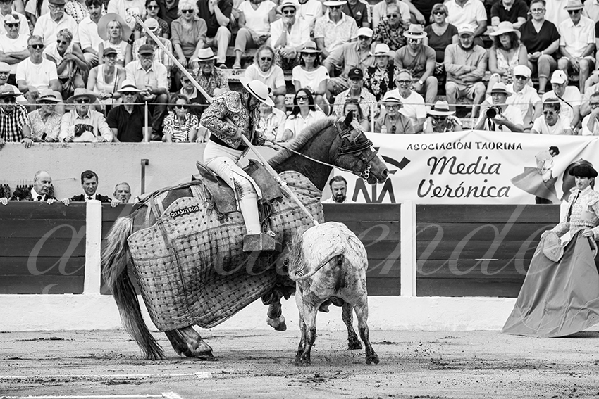 20250713 nov ceret 011