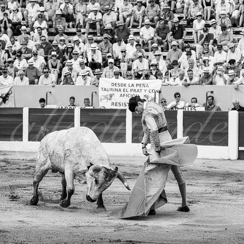 20250713 nov ceret 010