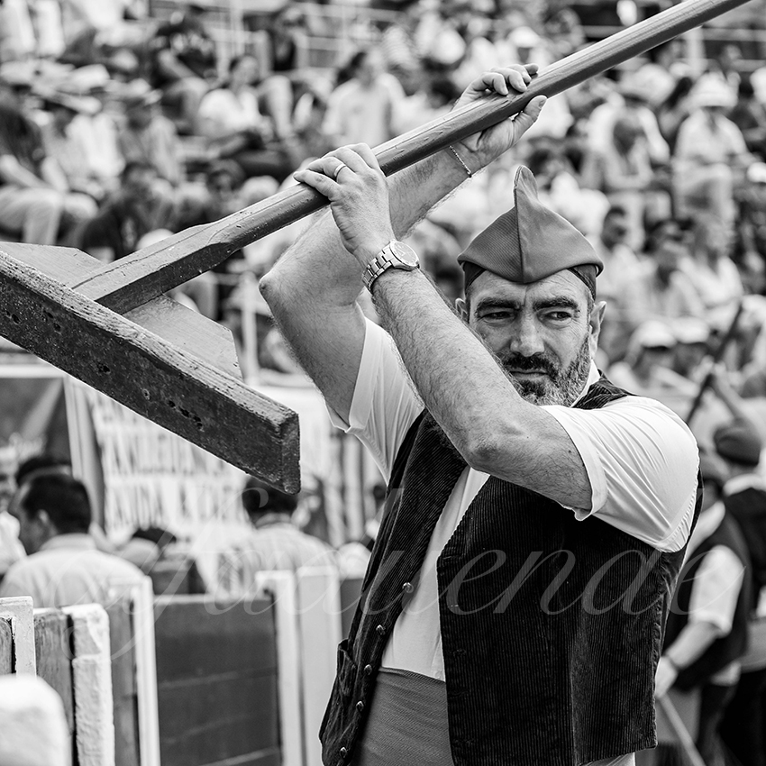 20250713 nov ceret 008