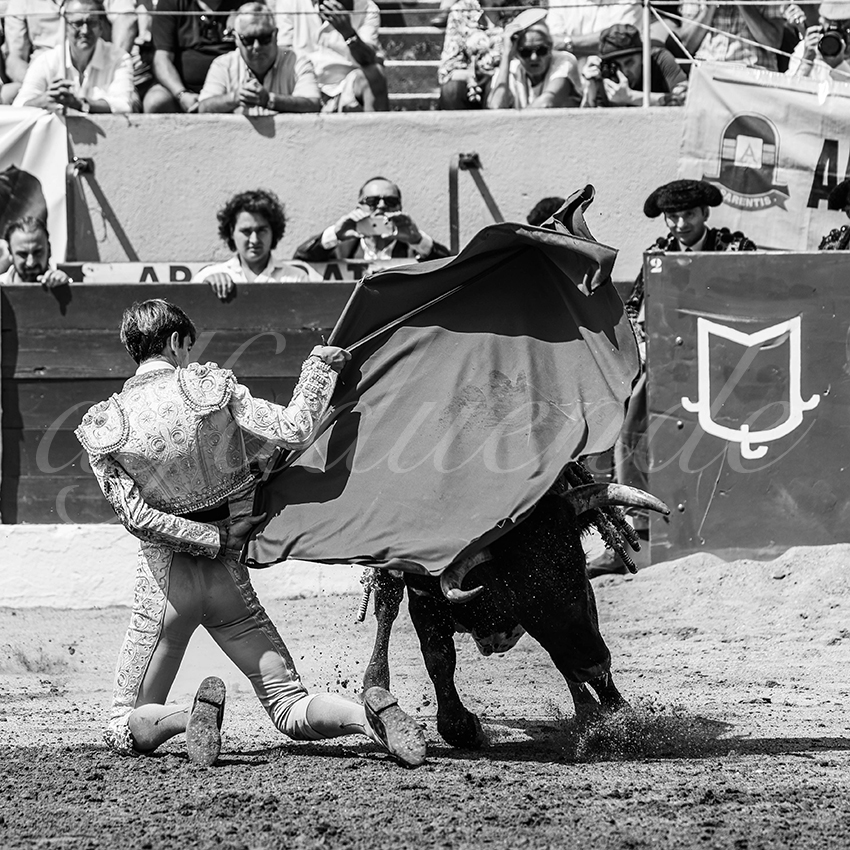 20250713 nov ceret 032