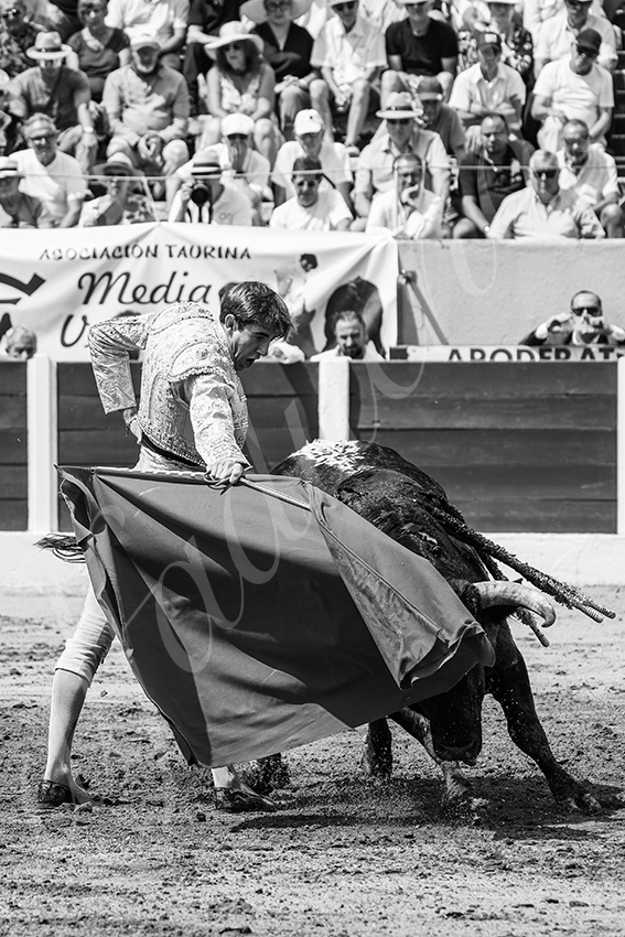 20250713 nov ceret 031