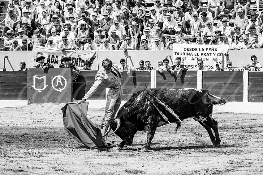 20250713 nov ceret 030