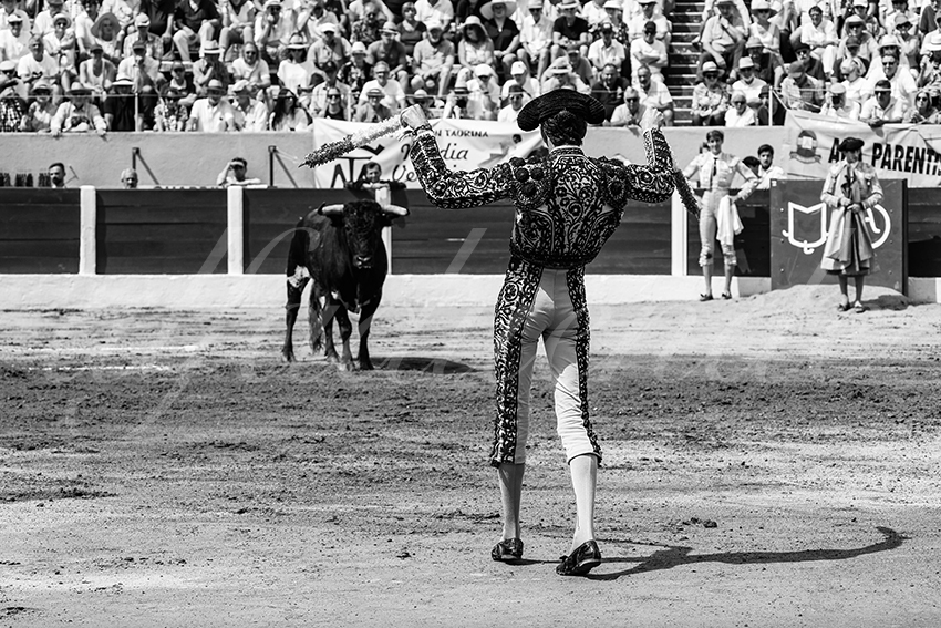 20250713 nov ceret 029