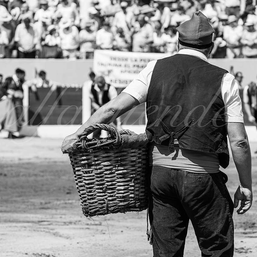 20250713 nov ceret 027