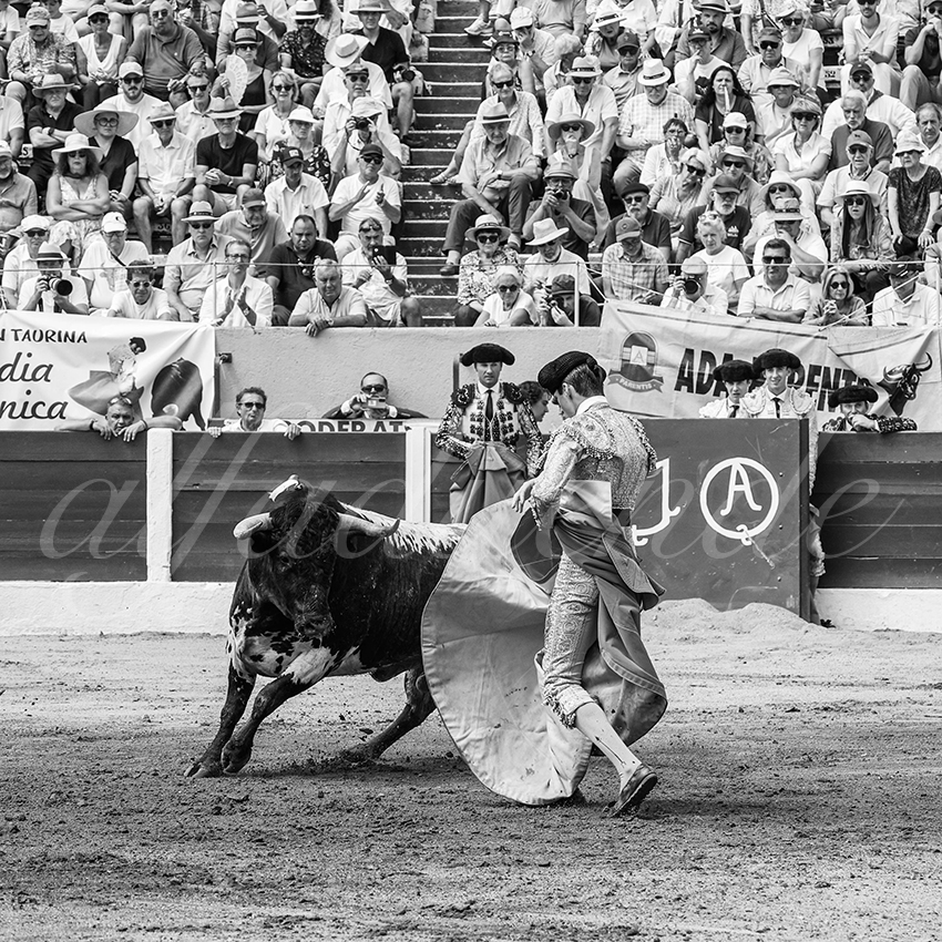 20250713 nov ceret 024