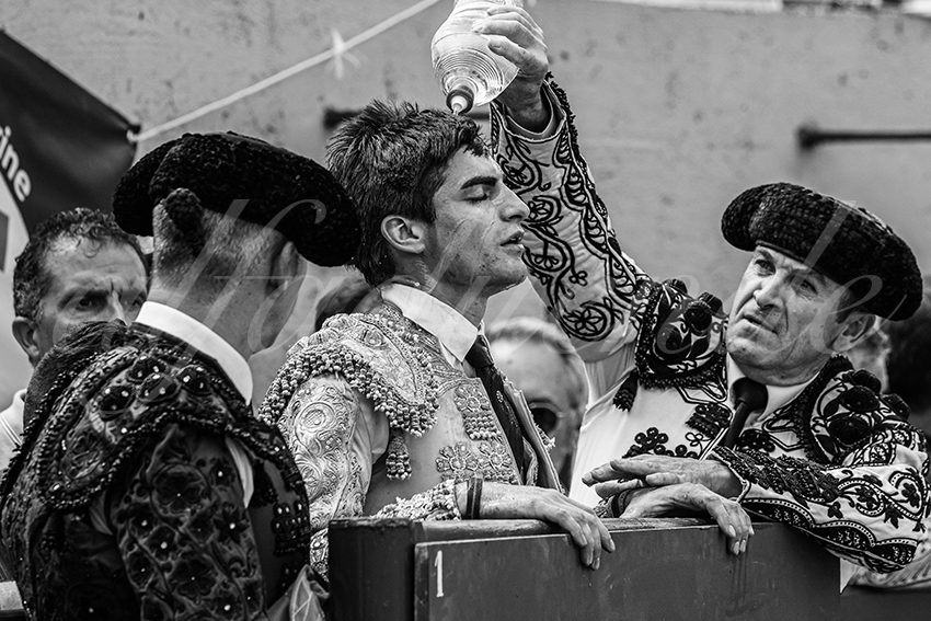 20250713 nov ceret 025