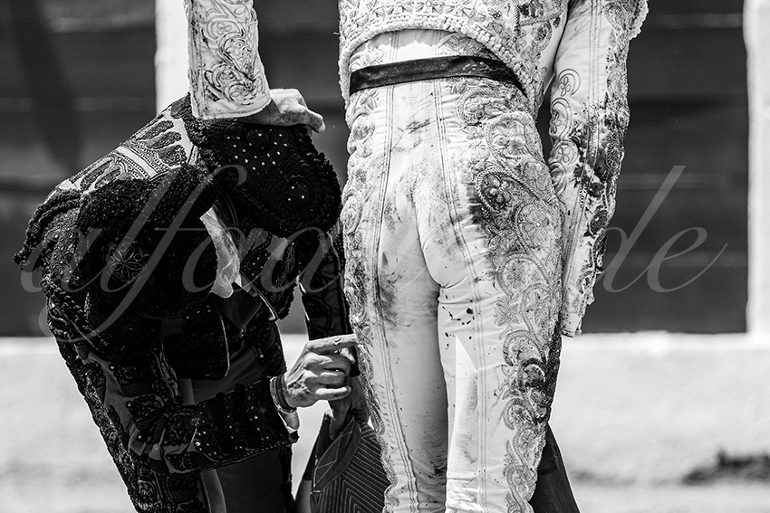 20250713 nov ceret 047