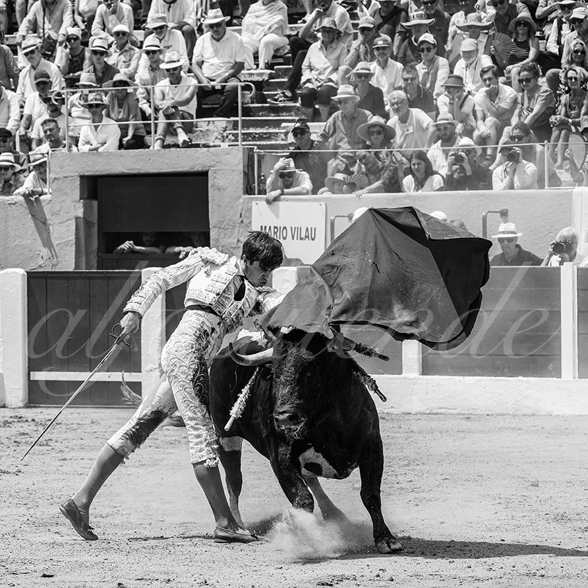 20250713 nov ceret 046