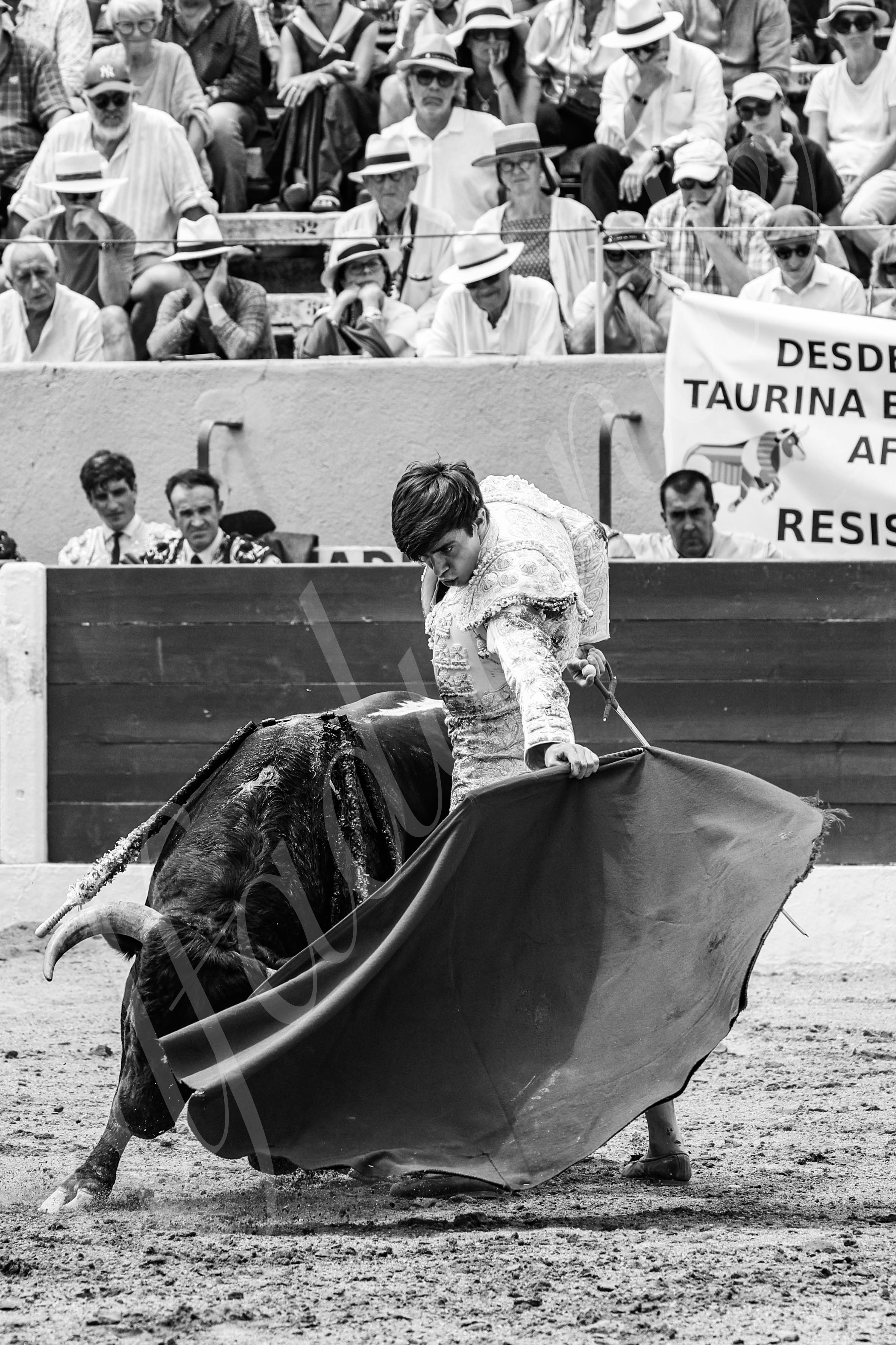 20250713 nov ceret 045