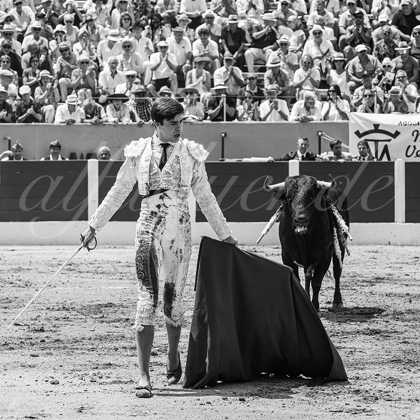 20250713 nov ceret 044