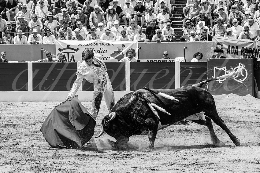 20250713 nov ceret 043