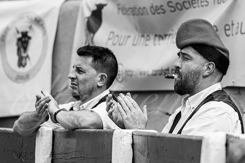 20250713 nov ceret 042