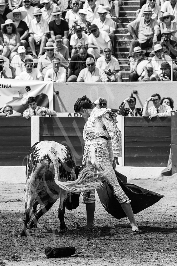 20250713 nov ceret 040