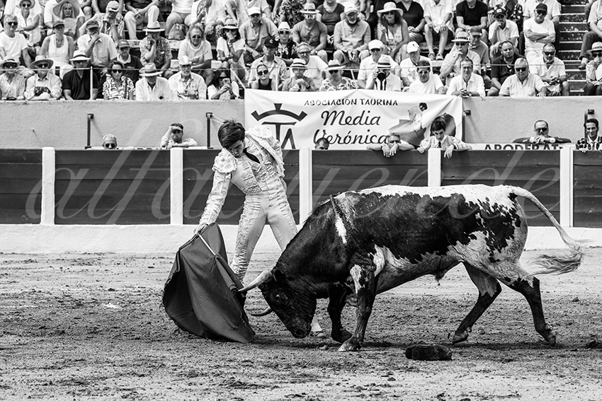 20250713 nov ceret 039