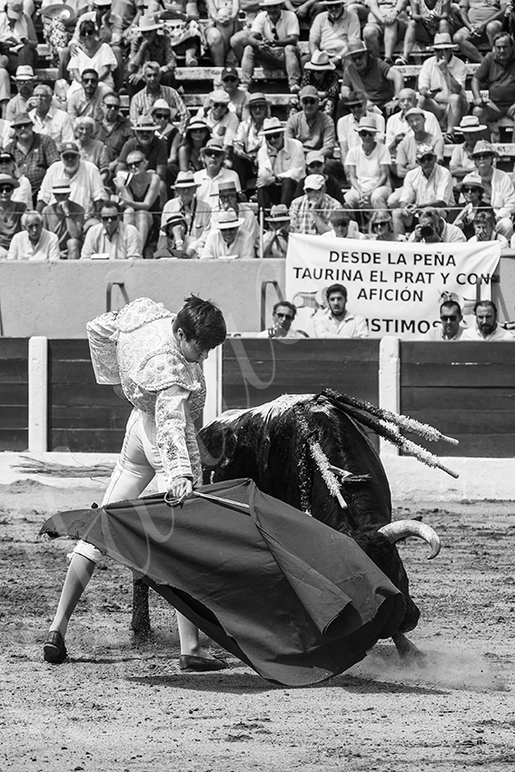 20250713 nov ceret 038