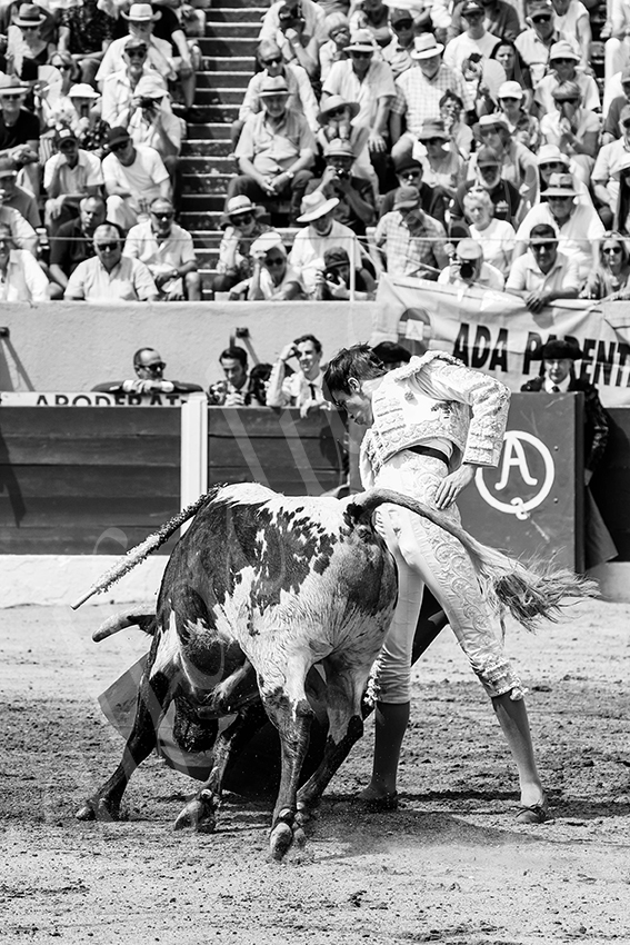 20250713 nov ceret 037