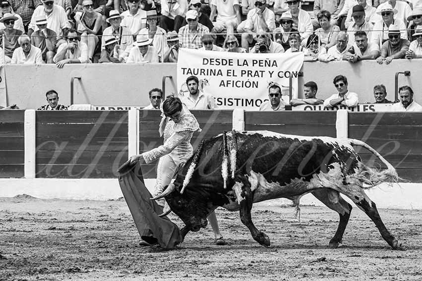 20250713 nov ceret 036