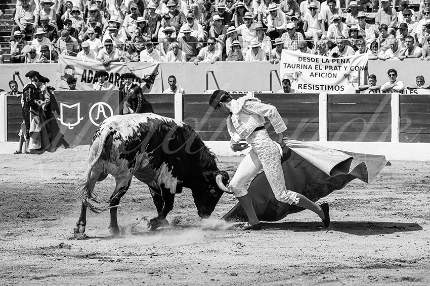 20250713 nov ceret 035