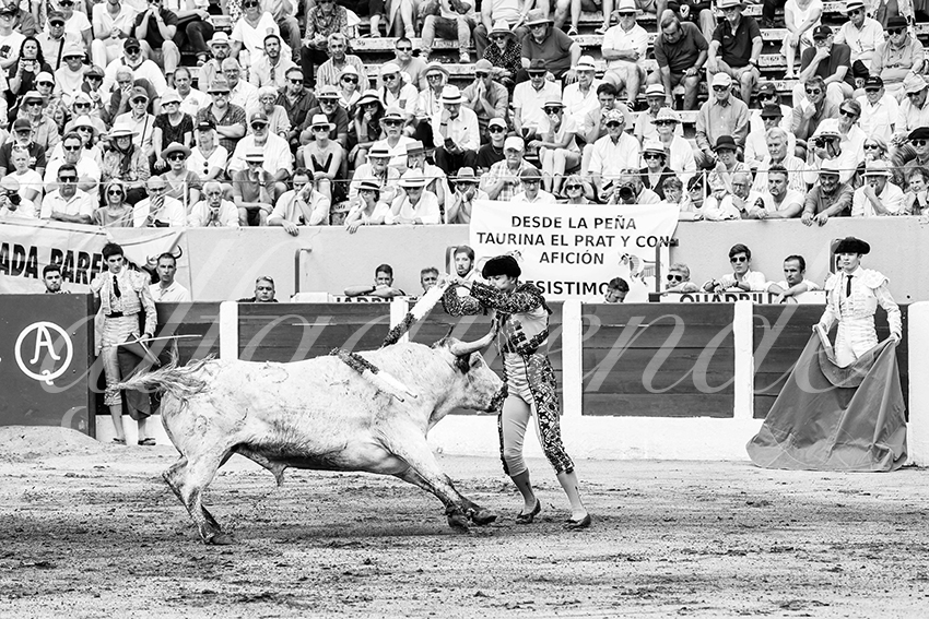 20250713 ceret cuadrillas 004 copie