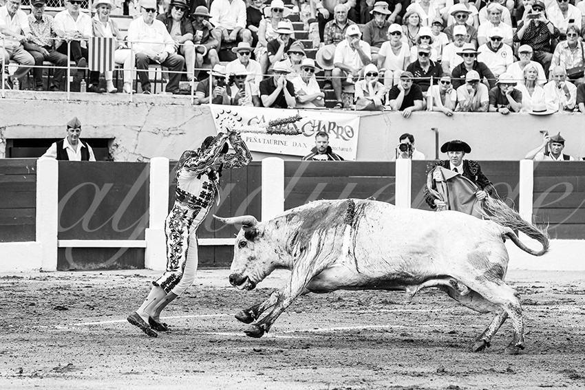 20250713 ceret cuadrillas 003 copie